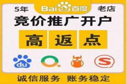 百度竞价托管：案例中的优化策略